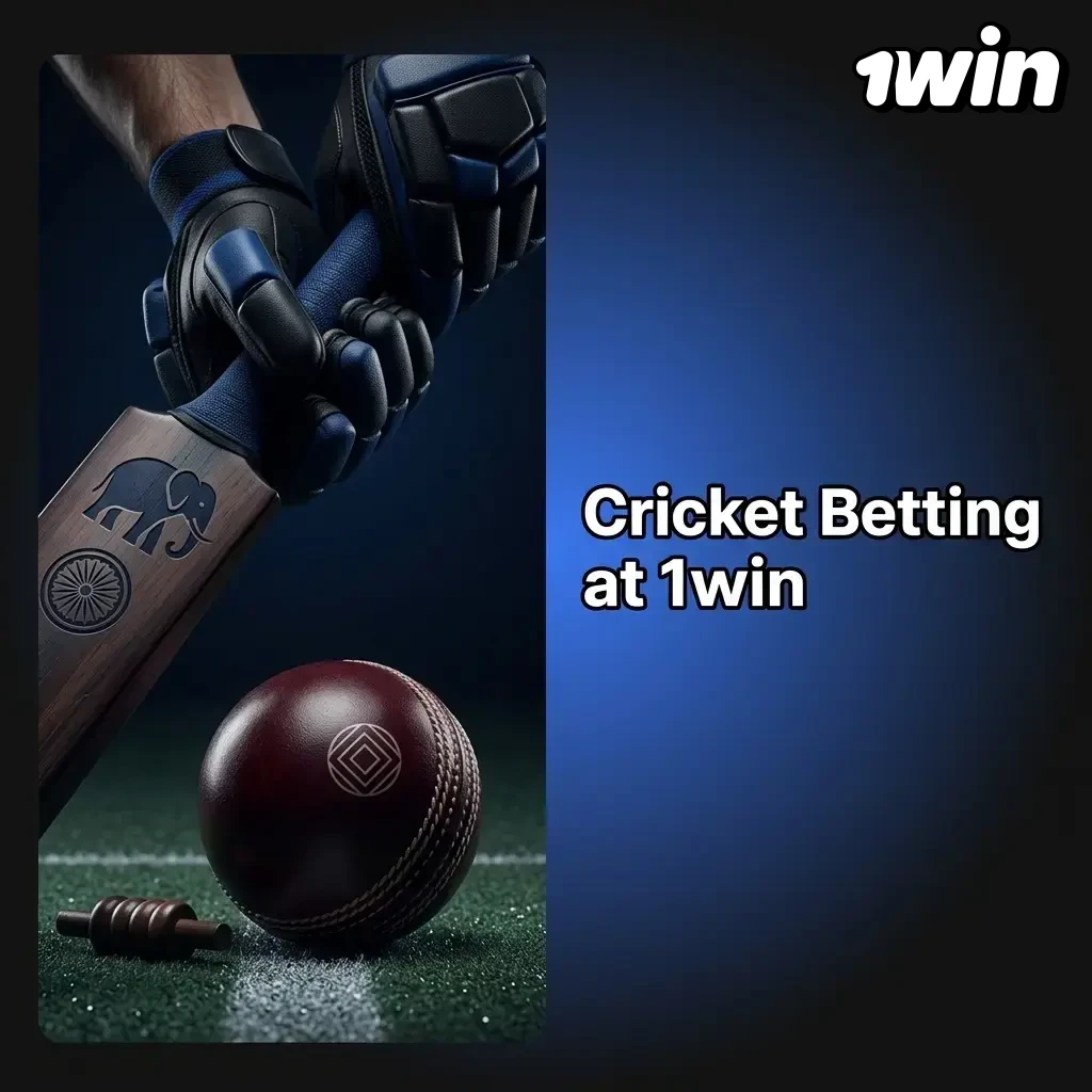 Cricket betting on 1win India covering IPL, T20 World Cup, ODIs with live in-play markets for Indian users